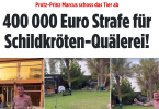 Screenshot 2024-02-05 at 21-36-07 Marcus von Anhalt 400 000 Euro Strafe für Schildkröten-Qua...png
