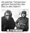 Deutsche Blut Adern gefrieren Stalingrad.jpg