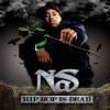 Nas - Hip Hop Is Dead.jpg