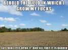 The Field I grow my Fucks.jpg